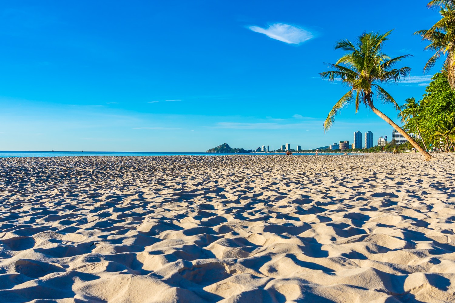 Stunning beach with coconut tree