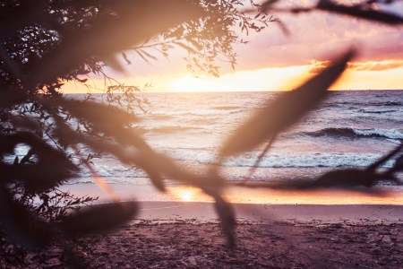 Morning scenery of Fort Lauderdale